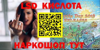 скорость Кингисепп