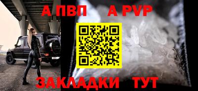 скорость Кингисепп