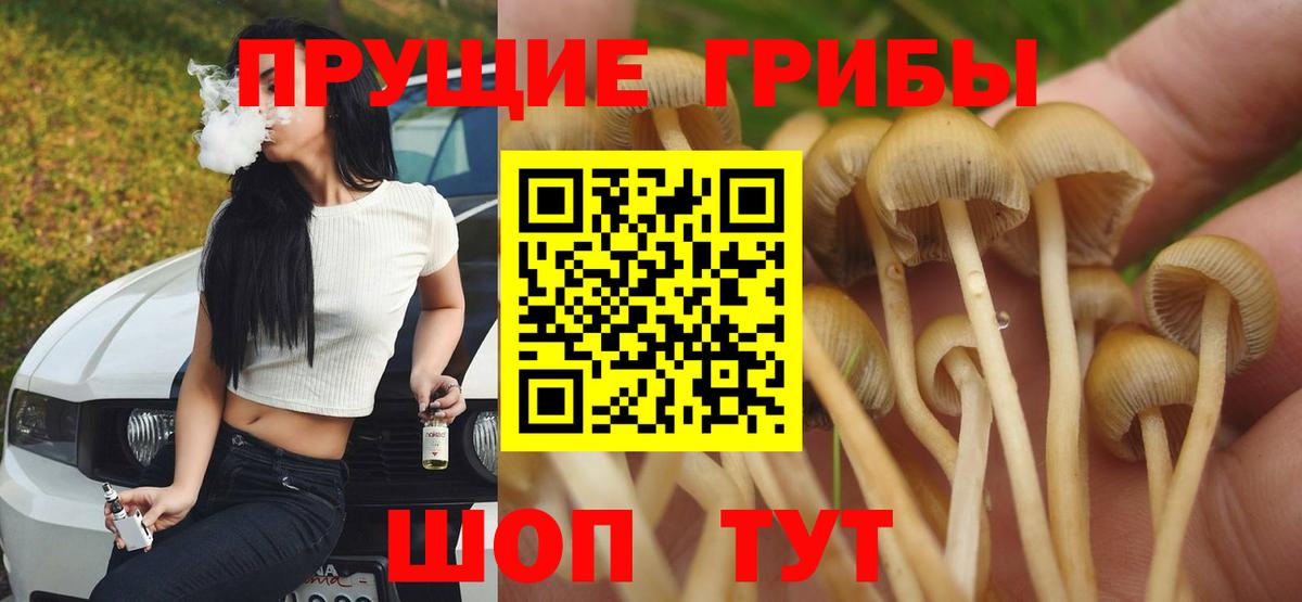 Дагестанские Огни  Псилоцибиновые грибы мухоморы  Вход с VPN 