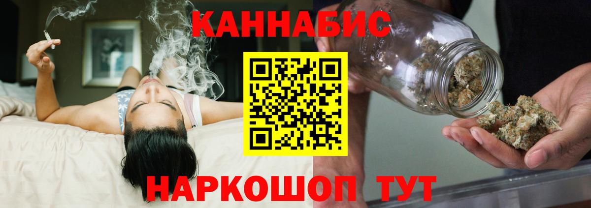 Бошки Шишки планчик  МАРИХУАНА сатива  Шишки марихуана планчик  Дагестанские Огни  Вход с VPN 
